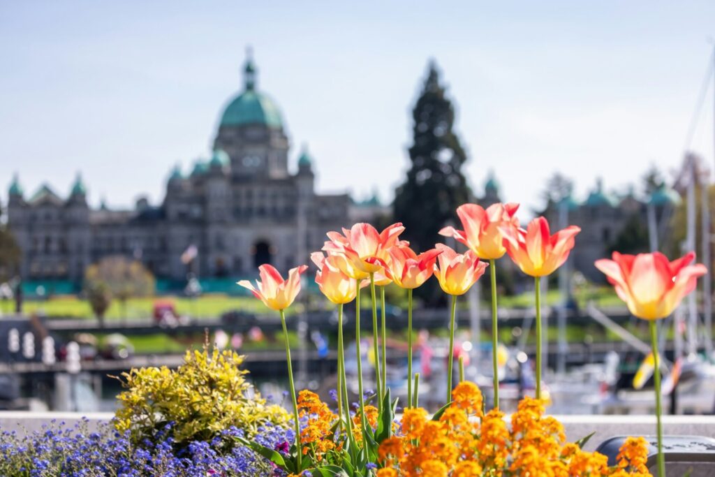 Legislative Assembly of British Columbia in the Capital City during a sunny day. Downtown Victoria
